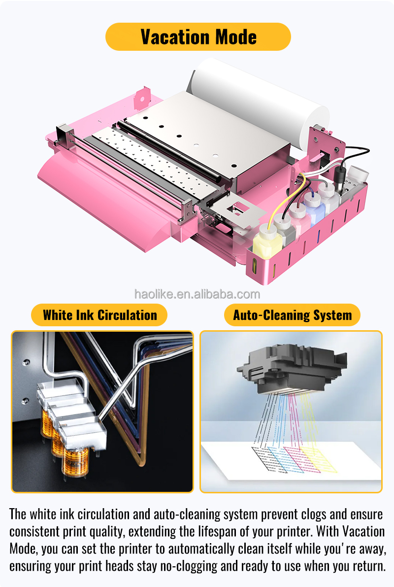 A3 DTF Pink Anfänger-Kit XP600 – Dtf Film Roll A3 Bewertung und Preis